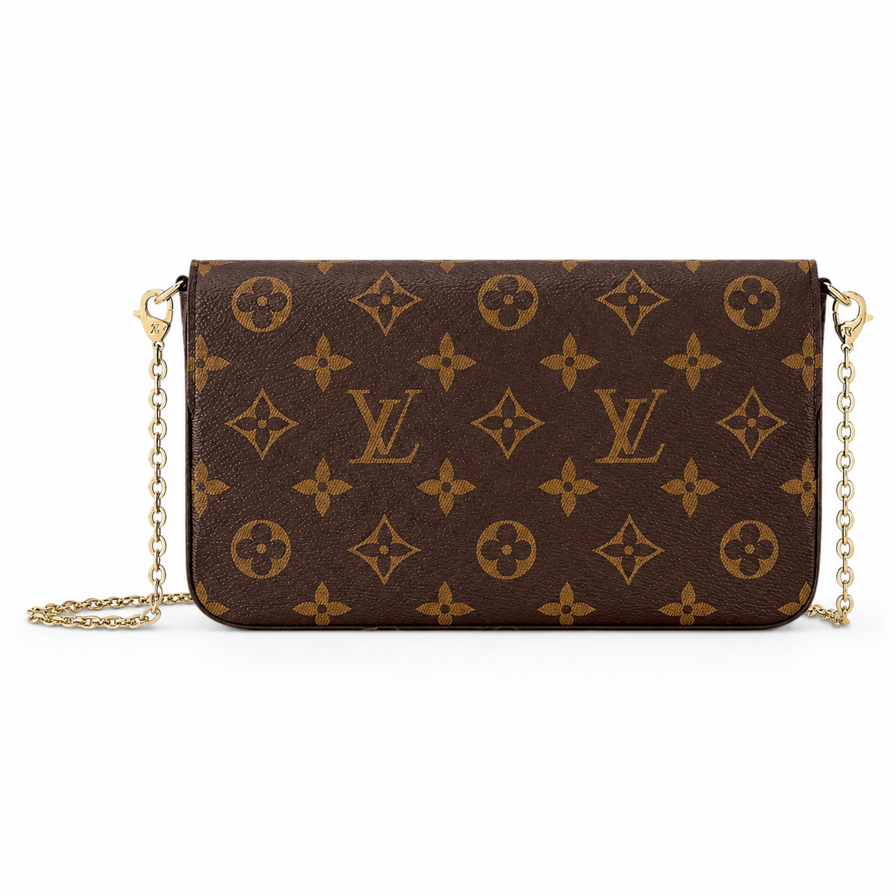 Louis Vuitton (Félicie Pochette)